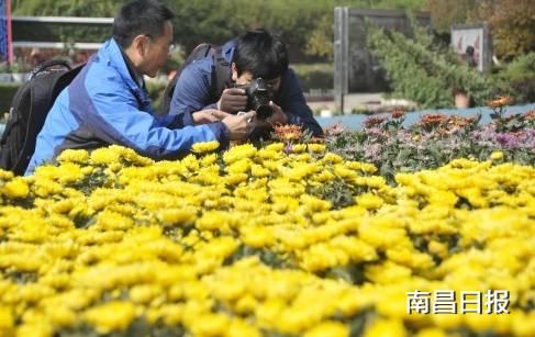 菊花网在线观看完整版,经典影片在线观看完整版 第3张 菊花网在线观看完整版,经典影片在线观看完整版 第3张