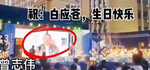 曾志伟爆料江湖视频播放,曾志伟揭秘江湖视频播放内幕  第2张